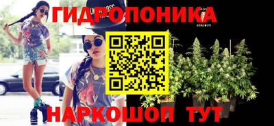 стафф Белореченск