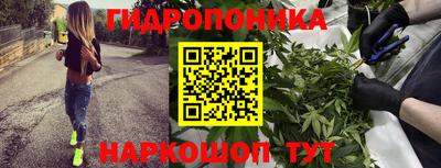 стафф Белореченск